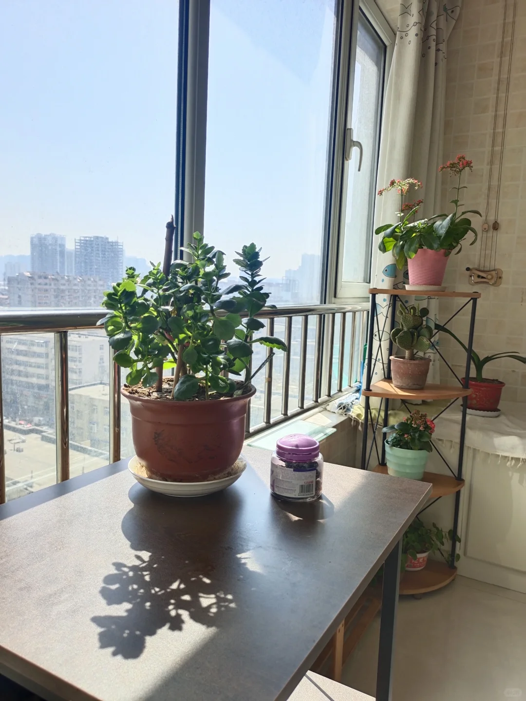 邯郸火车站附近，一室一厅
