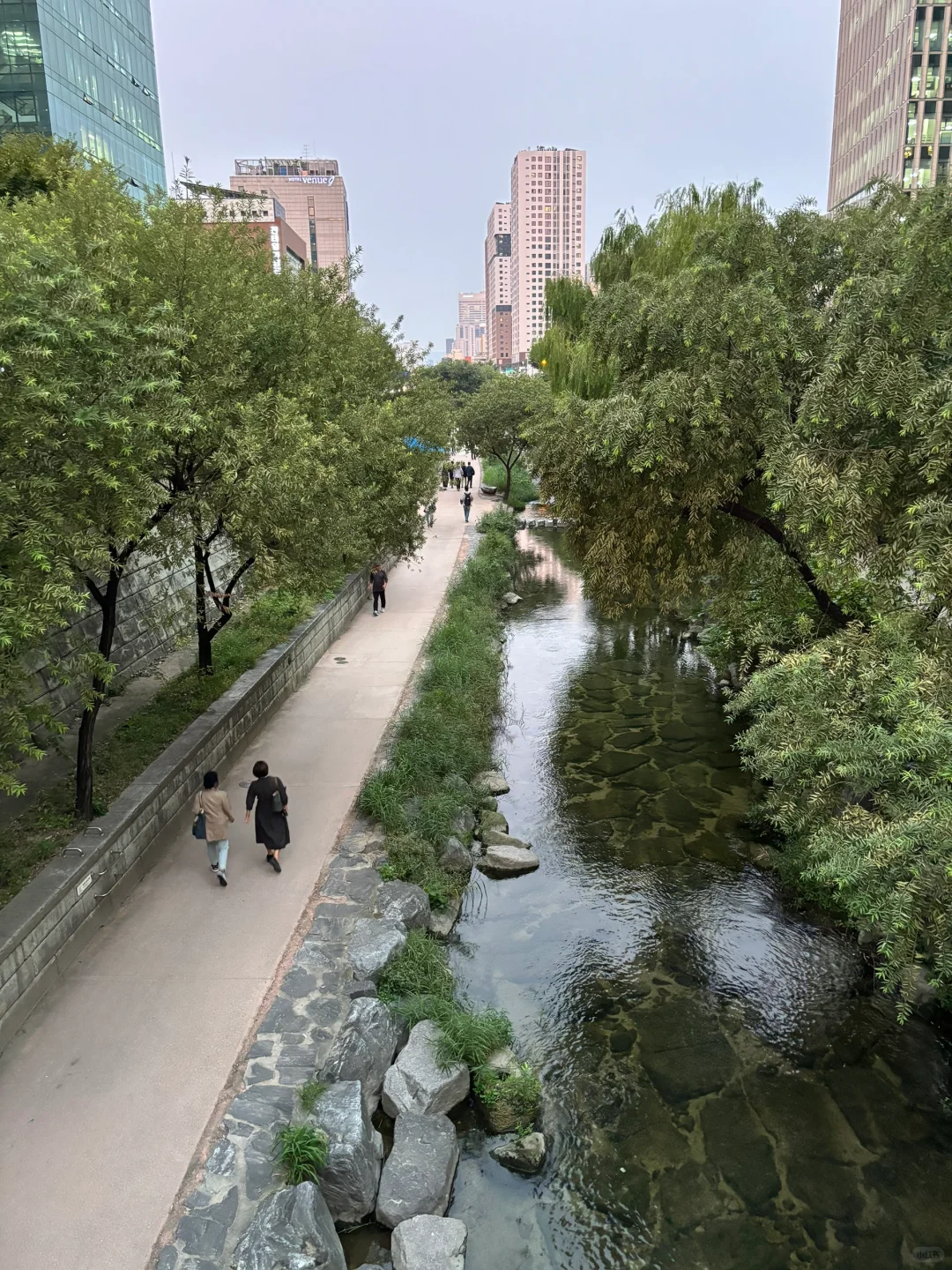 韩国市中心
