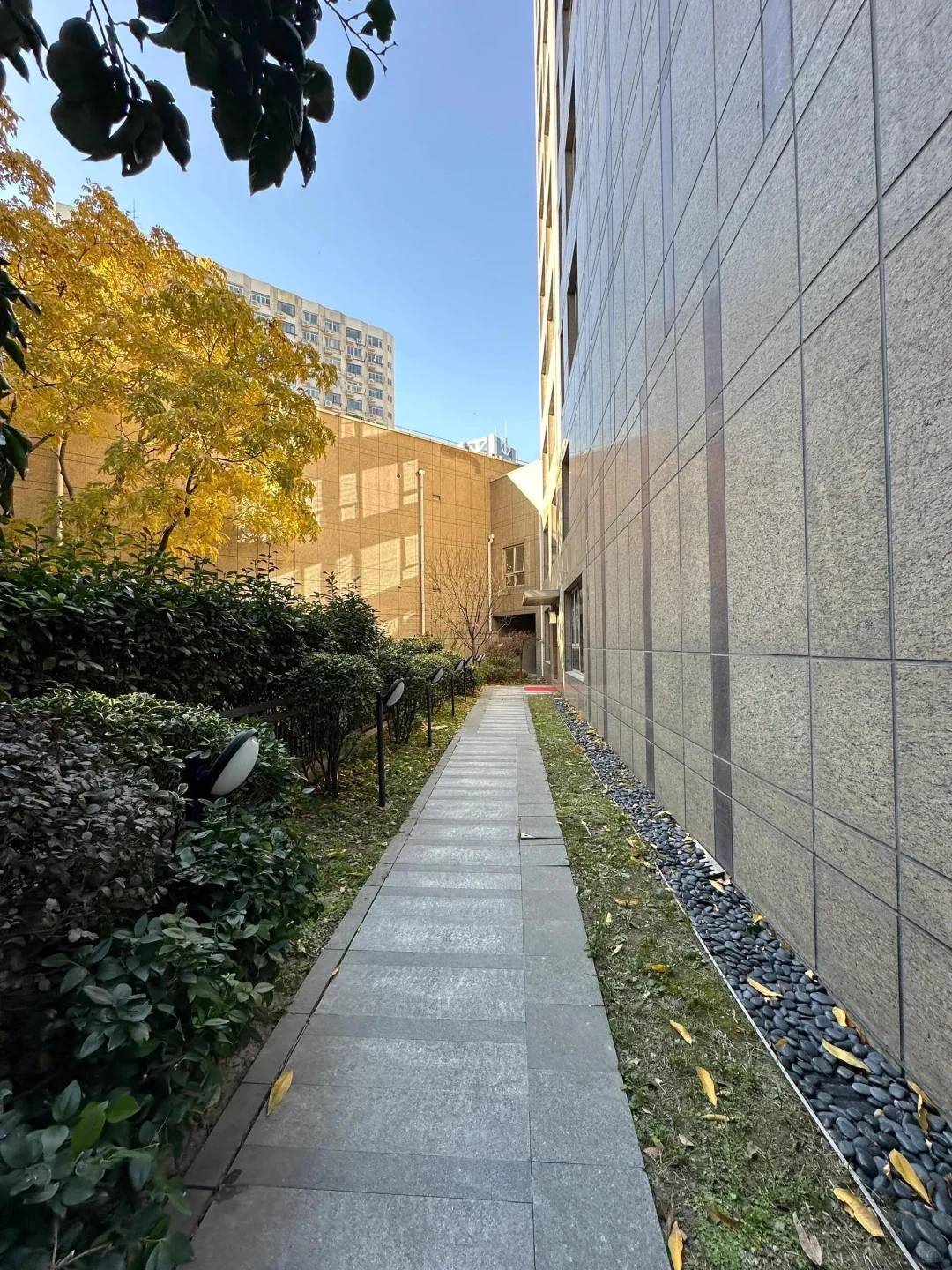 校长真的要走了｜凯德406平的家｜6000W出