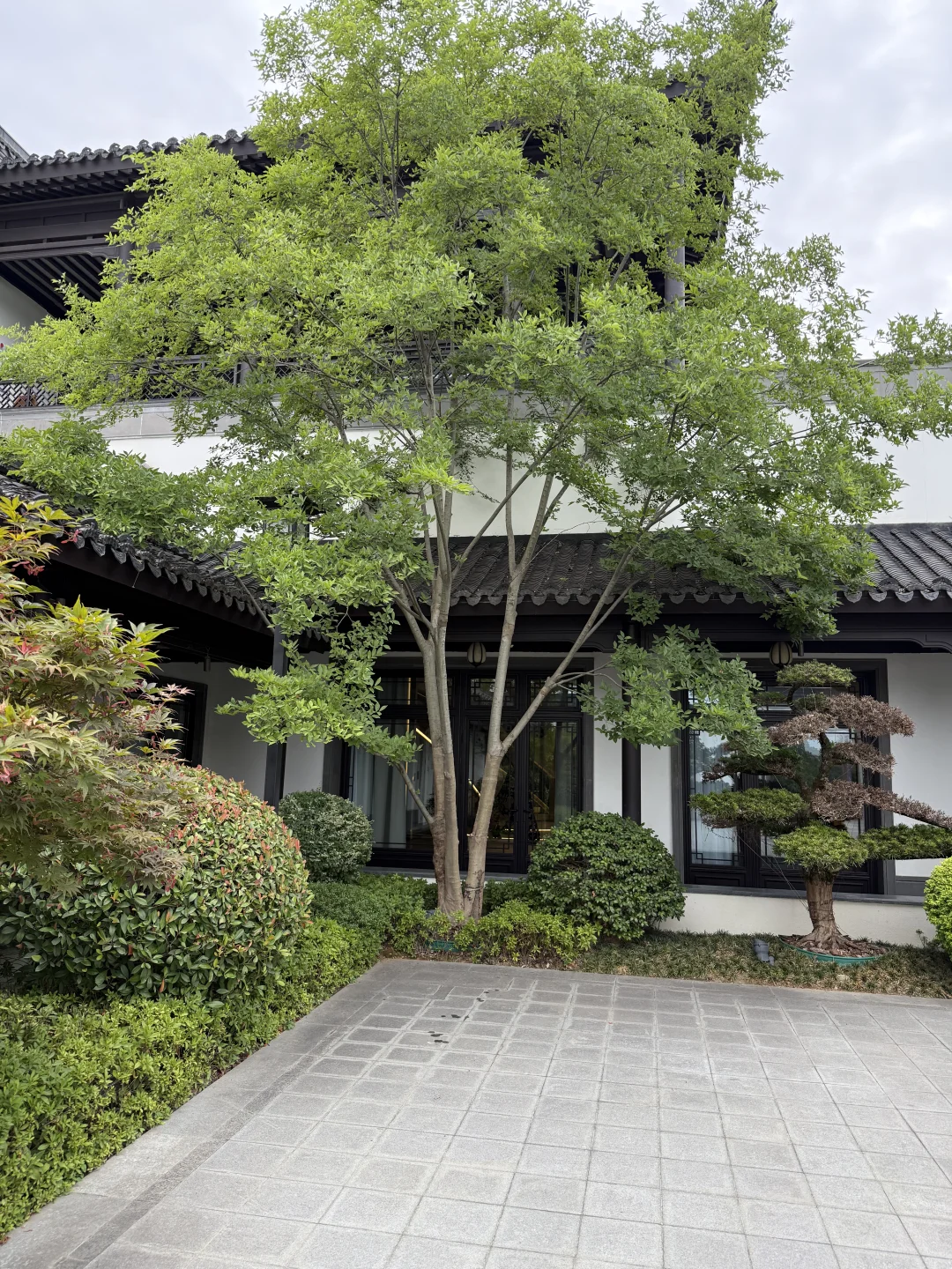贱卖，原480万，现220万，不议价