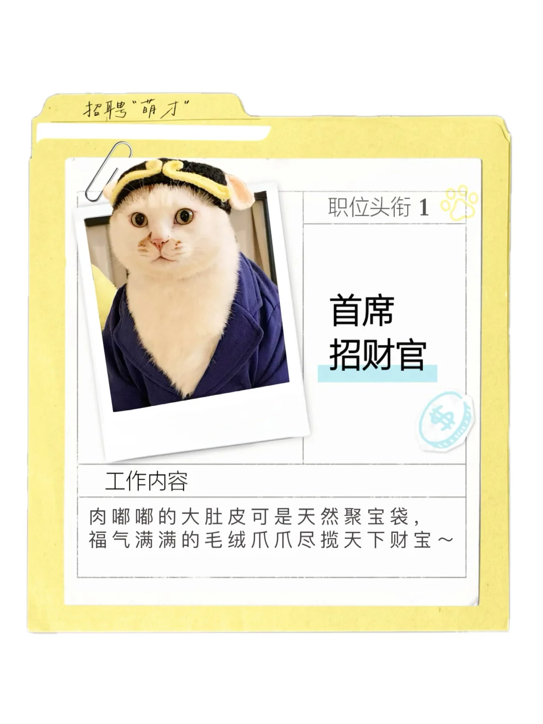 胖瘦猫今天准备干点正事！
