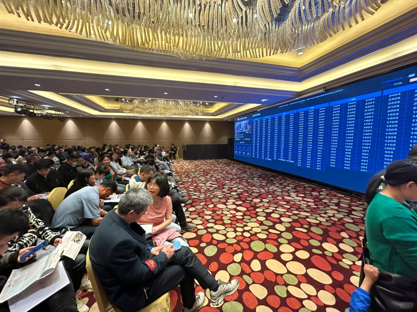 谁懂啊，第一次摇号就摇中了800号