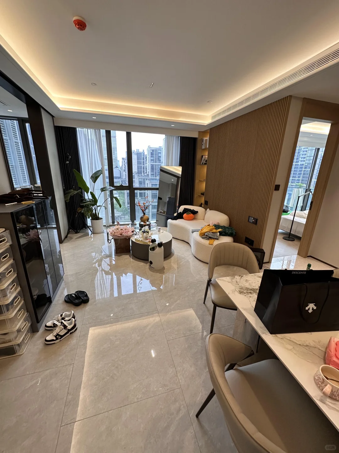 小姐姐急售，高新区，1居室，一室一厅，44w