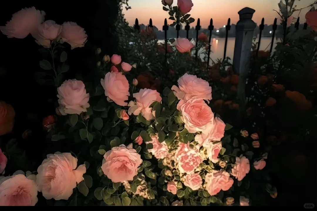 Share｜IPad3D平板壁纸