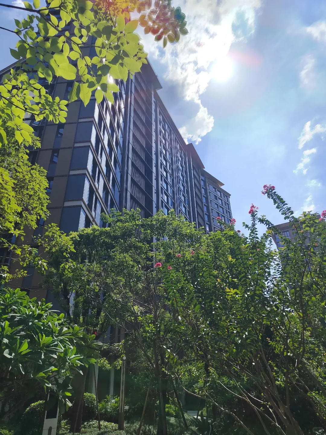 广州天河区人才住宅申请分享