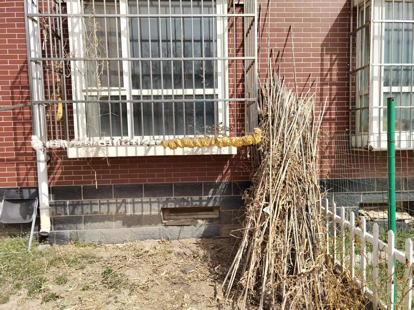 业主直售北京郊区一层带院子楼房
