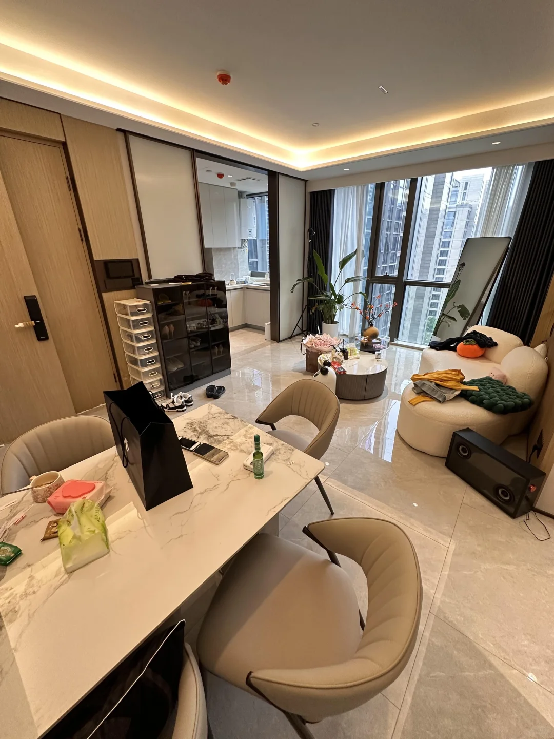 小姐姐急售，高新区，1居室，一室一厅，44w