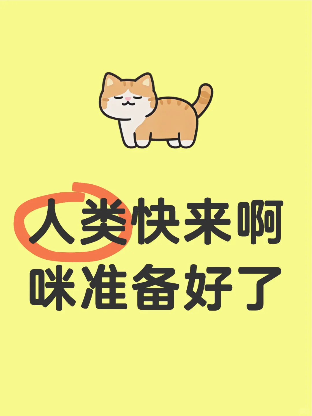 妖娆小咪在线邀请