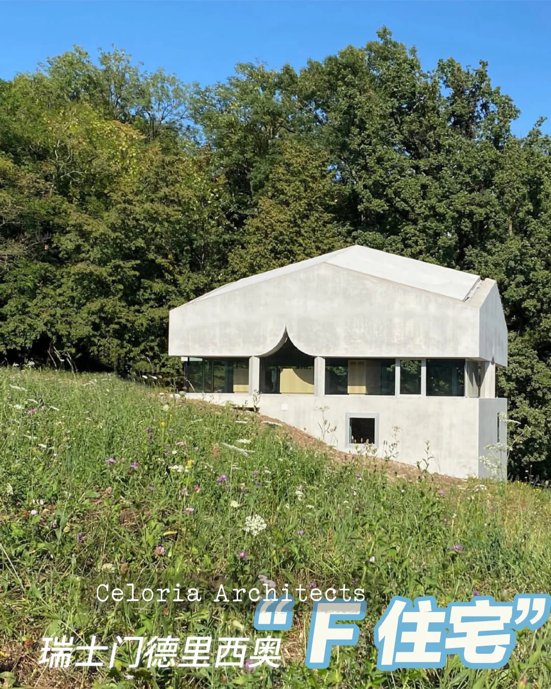 瑞士门德里西奥 F 住宅|Celoria Architects