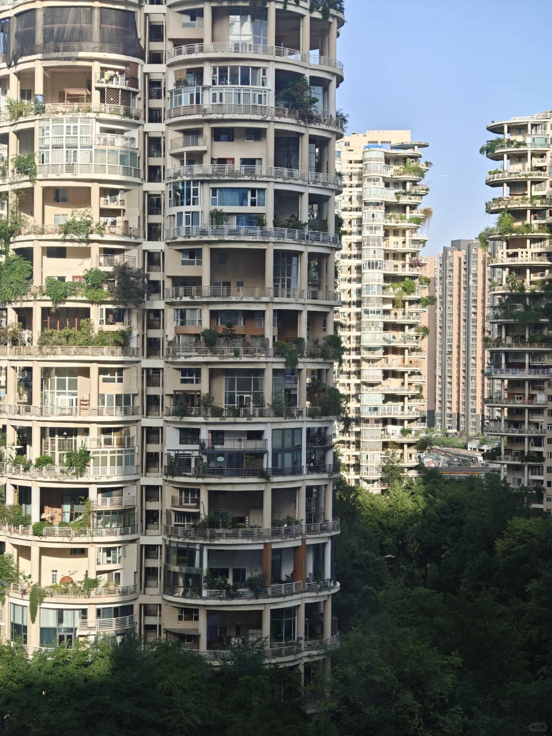这是哪个小区啊！多少钱一平？