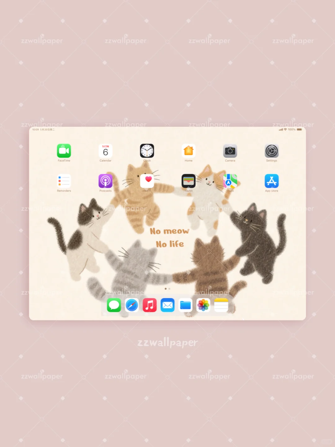 No meow No life🐈｜平板壁纸