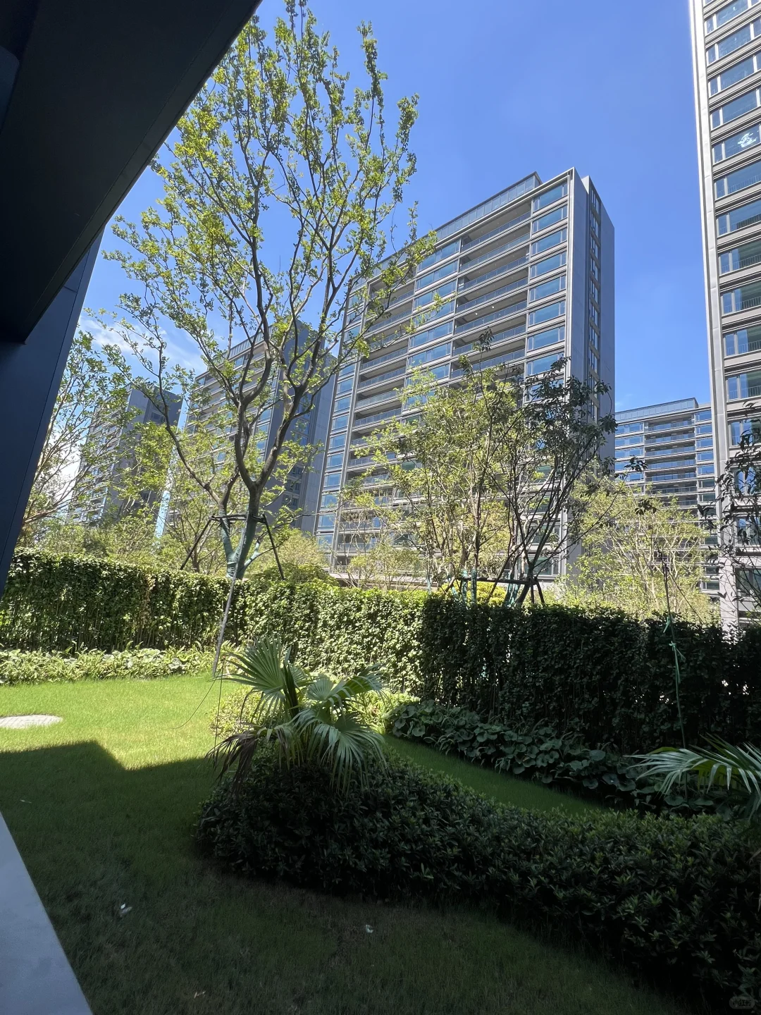 冤大头吗？买了别人不要的一楼（验房中）