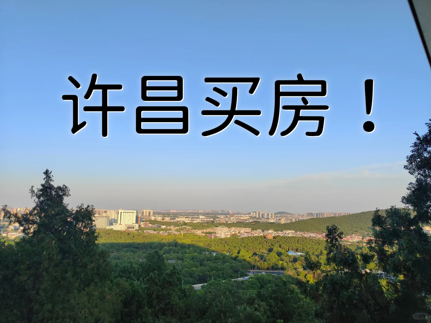 家人们，想买二手房！！！！