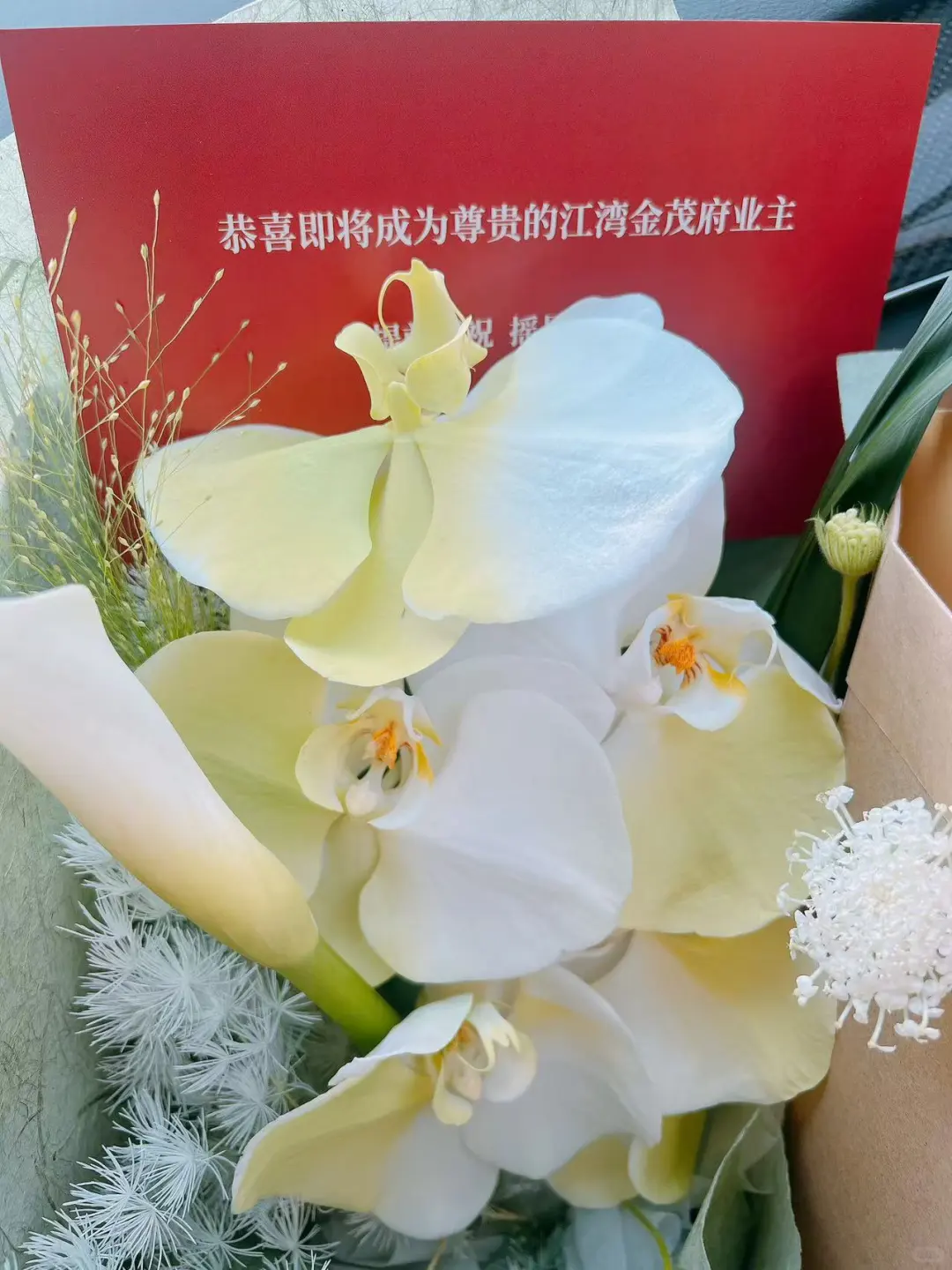 愿摇号必中，选到自己心仪的房子