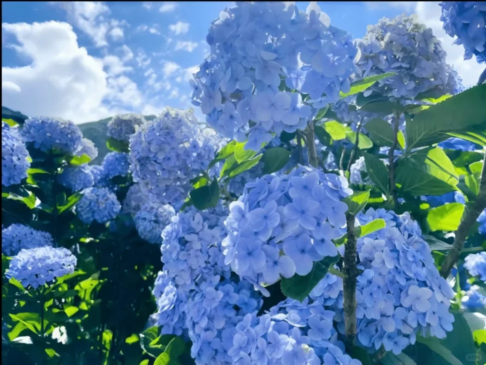 Share｜IPad3D平板壁纸
