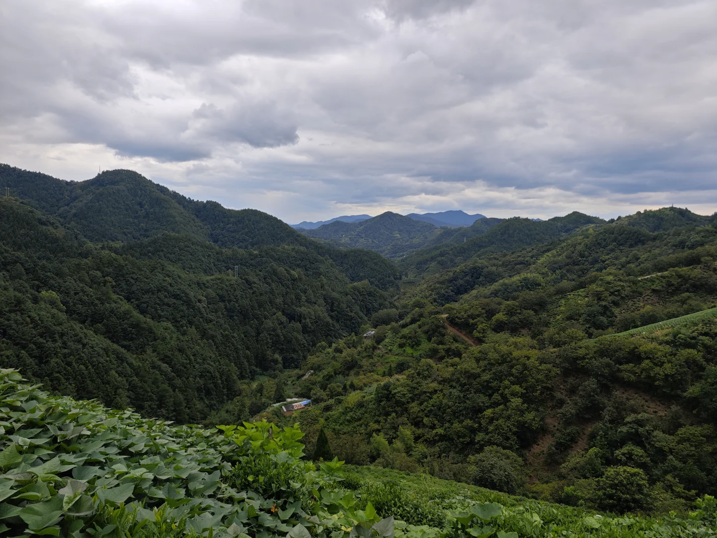 记歙县日游 2.1