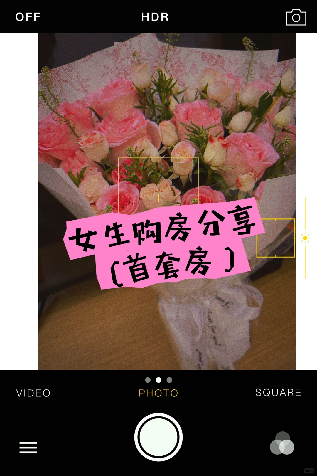 女生买首套房过程记录
