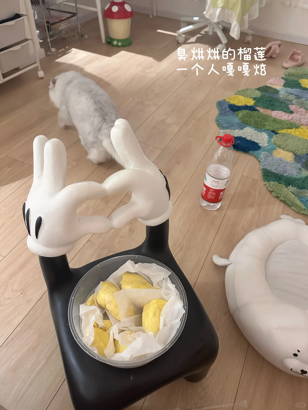 从一无所有到拥有属于自己的29m²小家🧸