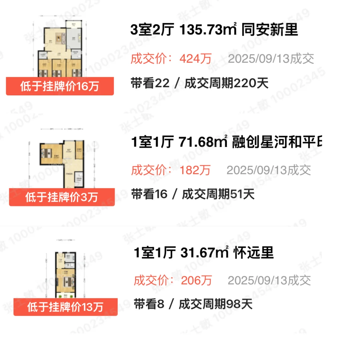 和平9月13成交信息