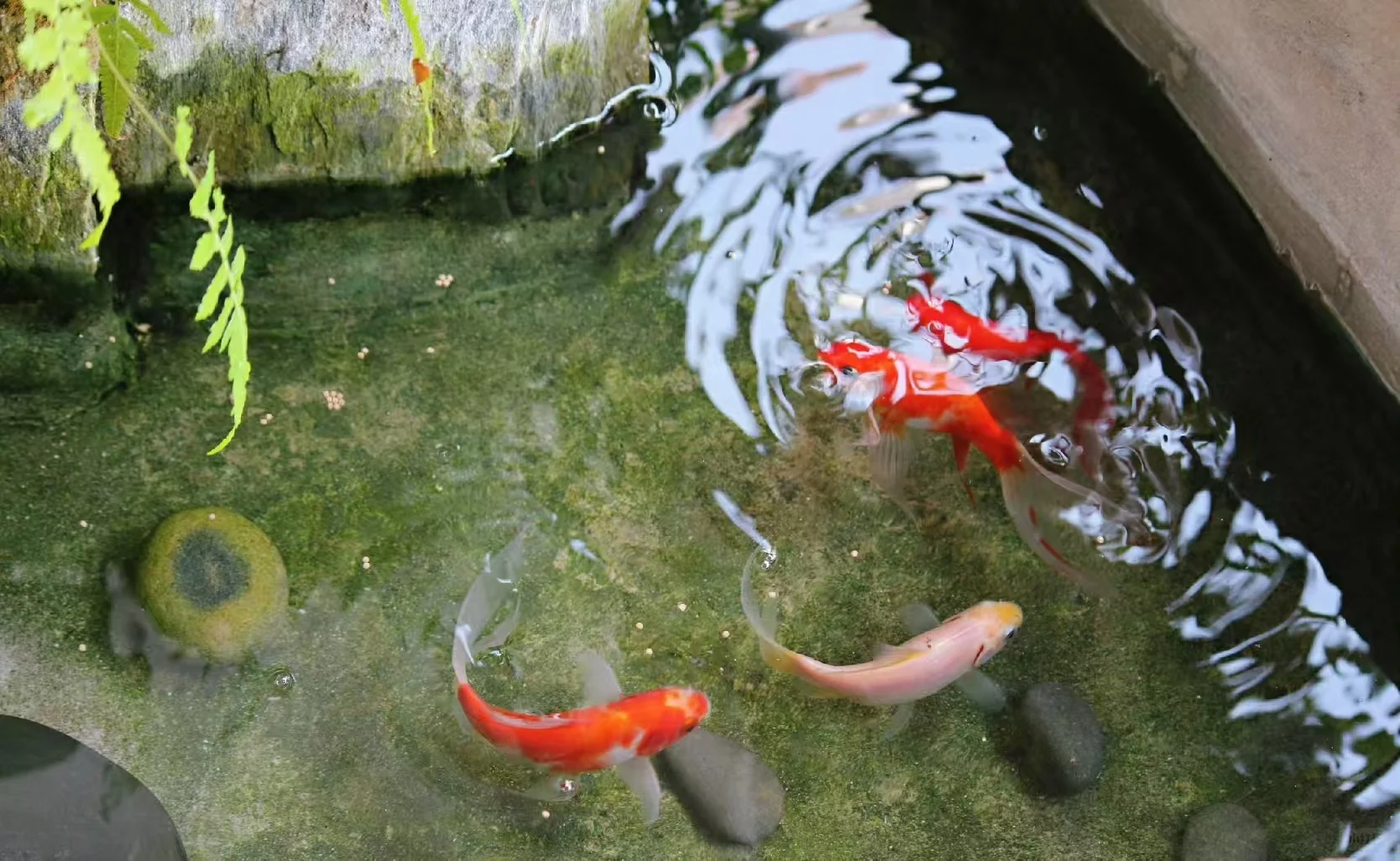 售：内江东兴区甜城湖畔多层洋房，三室一卫