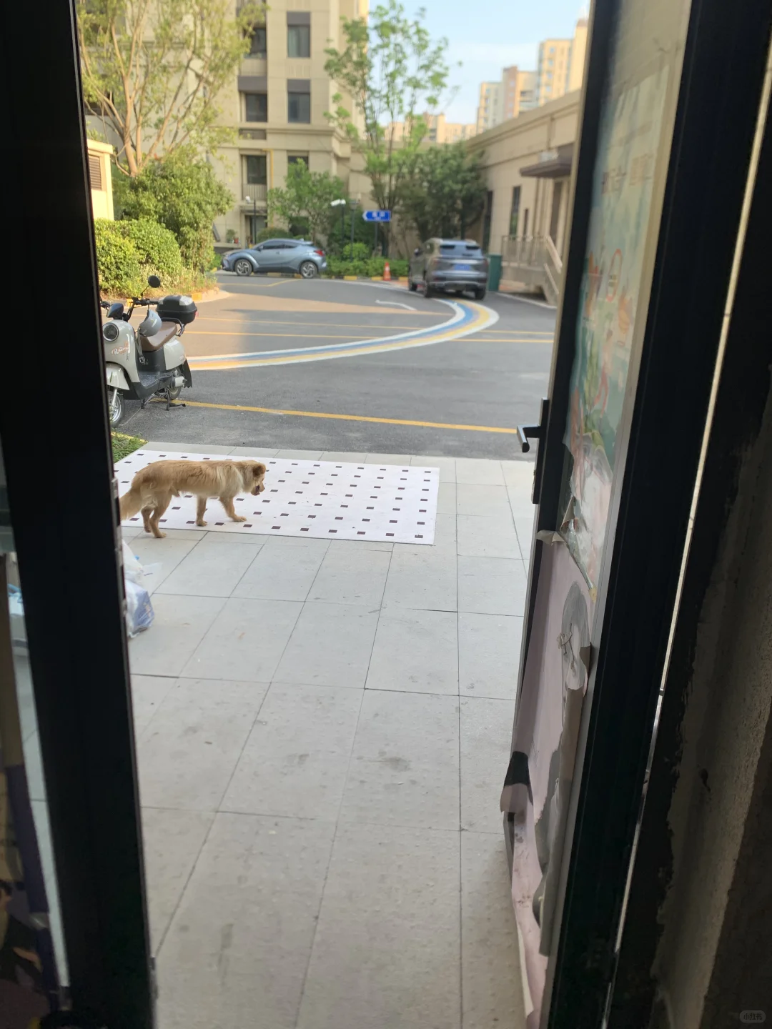 我在上海浦东新区曹路租了一间毛坯房