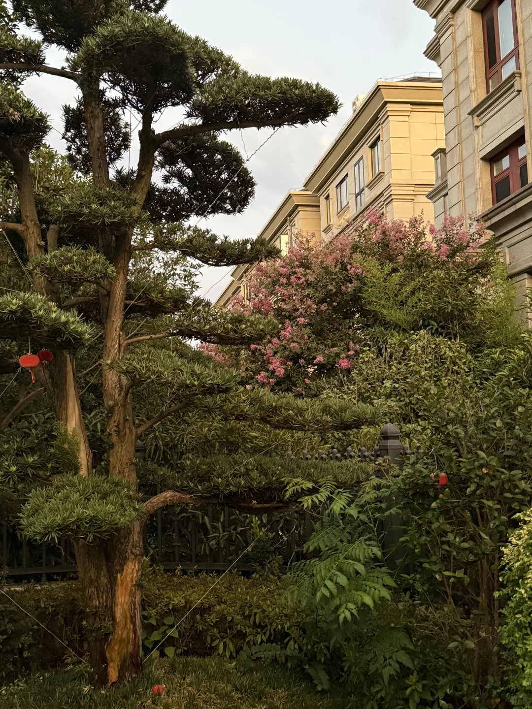 独栋别墅｜信我，这法式房夏天热到冬天冷到哈