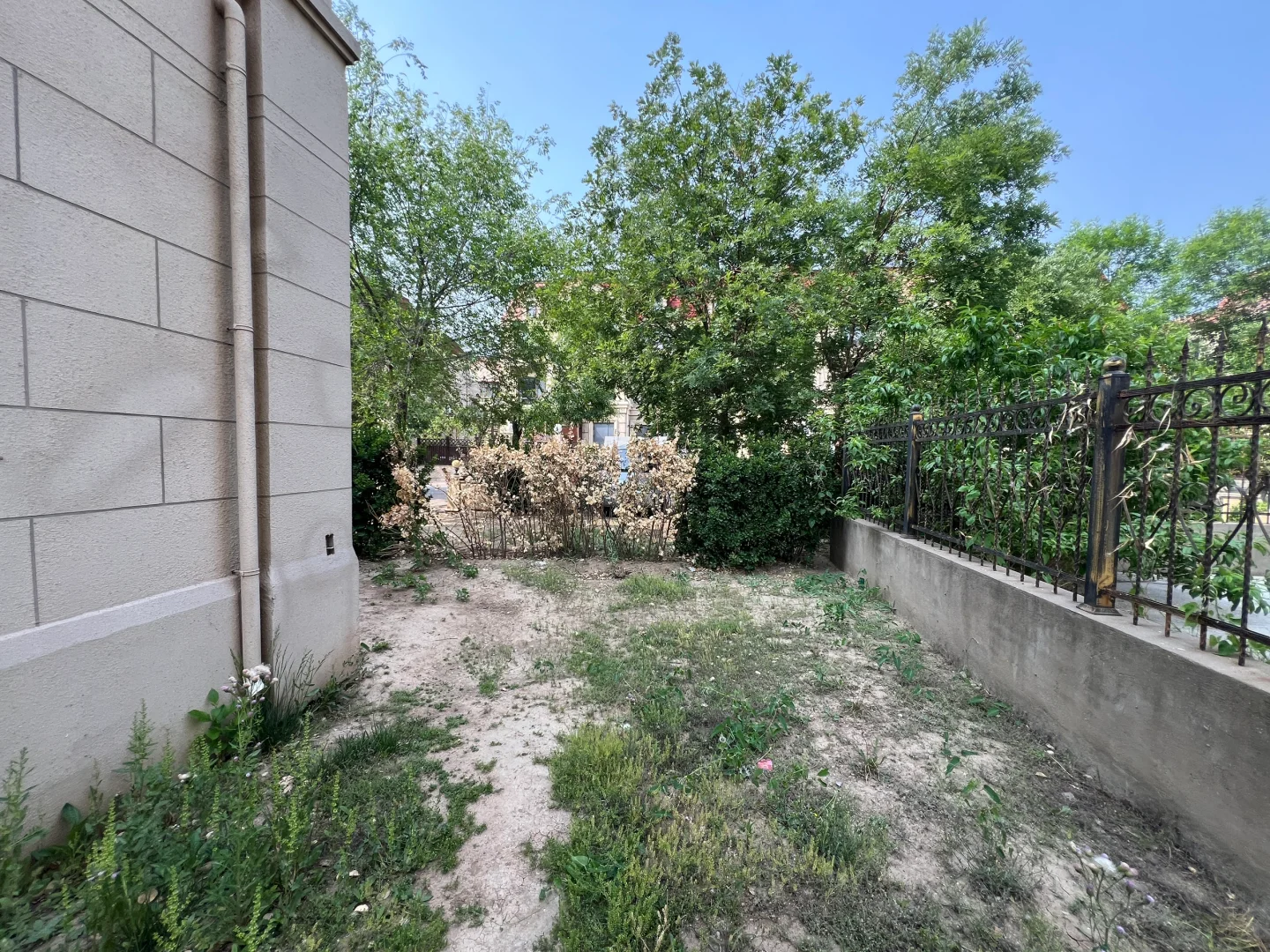 捡到白菜价别墅🏠感谢国家神助攻