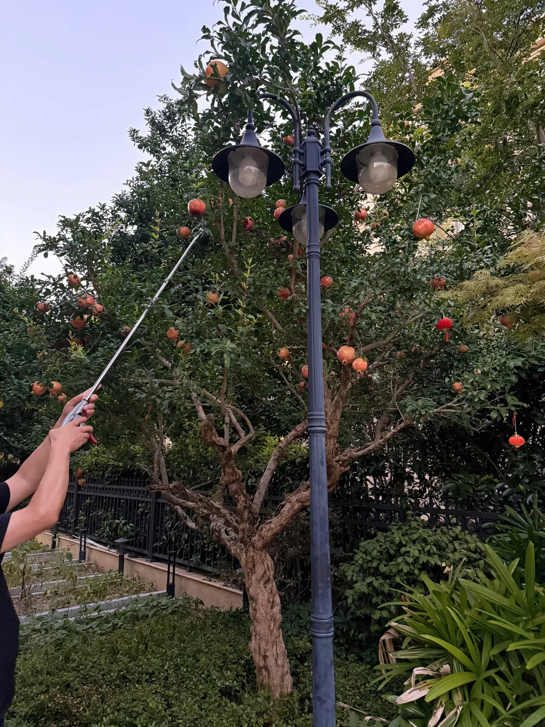 独栋别墅｜信我，这法式房夏天热到冬天冷到哈