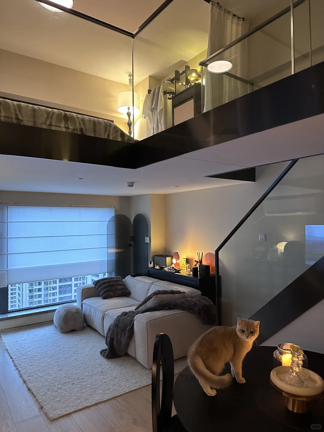 我装出了一个淡人无法拒绝的家🏠