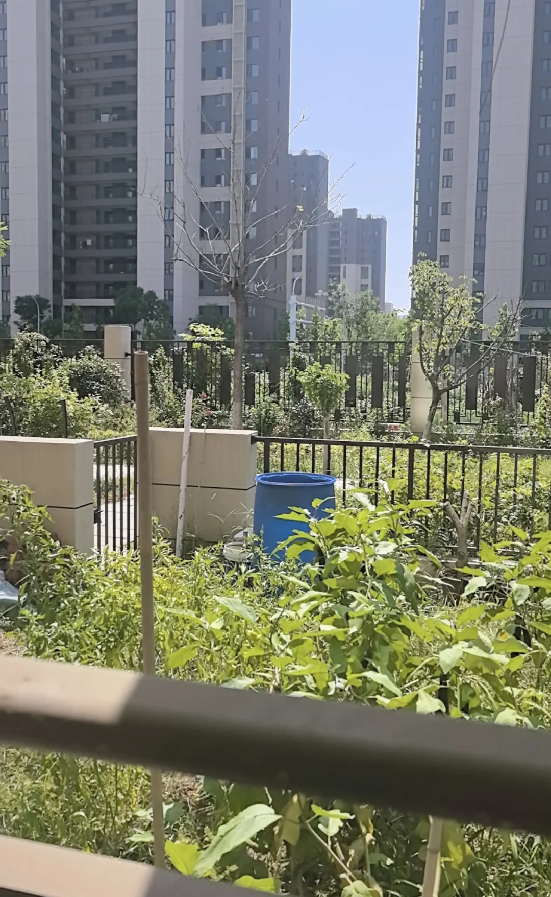 600块租毛坯房，如何省钱入住