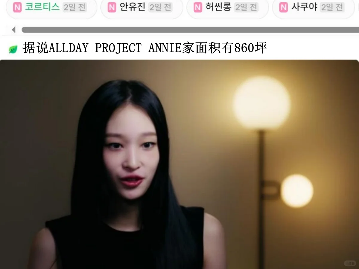 韩网热议-ALLDAYPROJECT ANNIE家面积2800㎡
