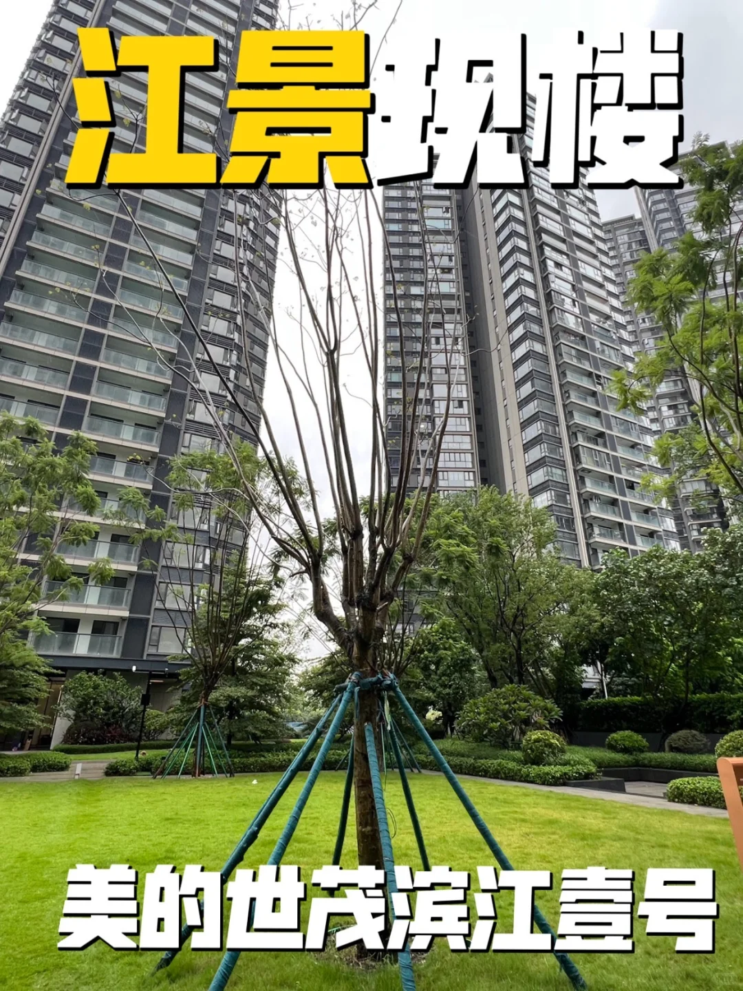 首付8万，我把自己“嫁”给了一套江景房🌊
