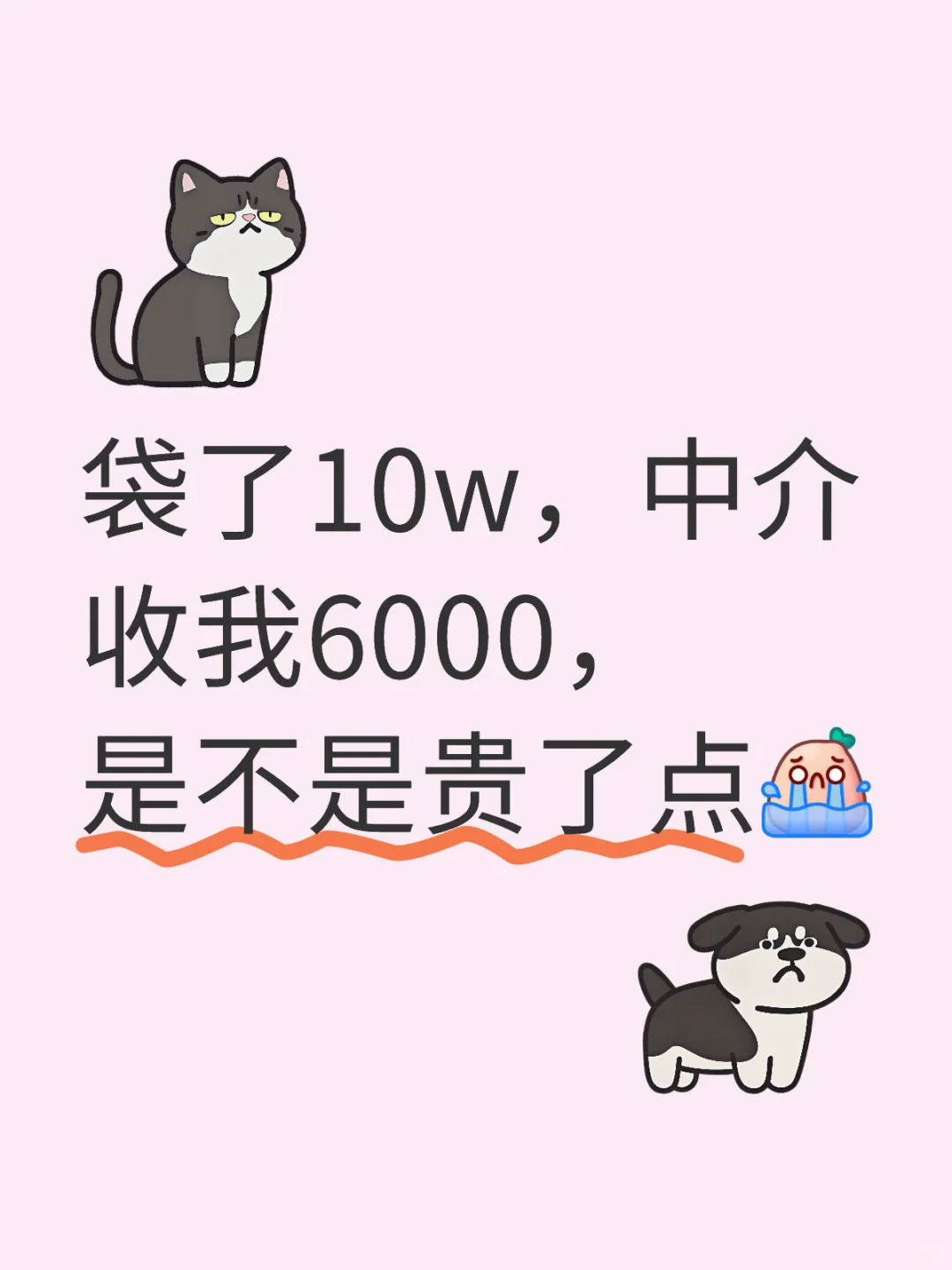 袋了10w，中介收我6000，是不是贵了点