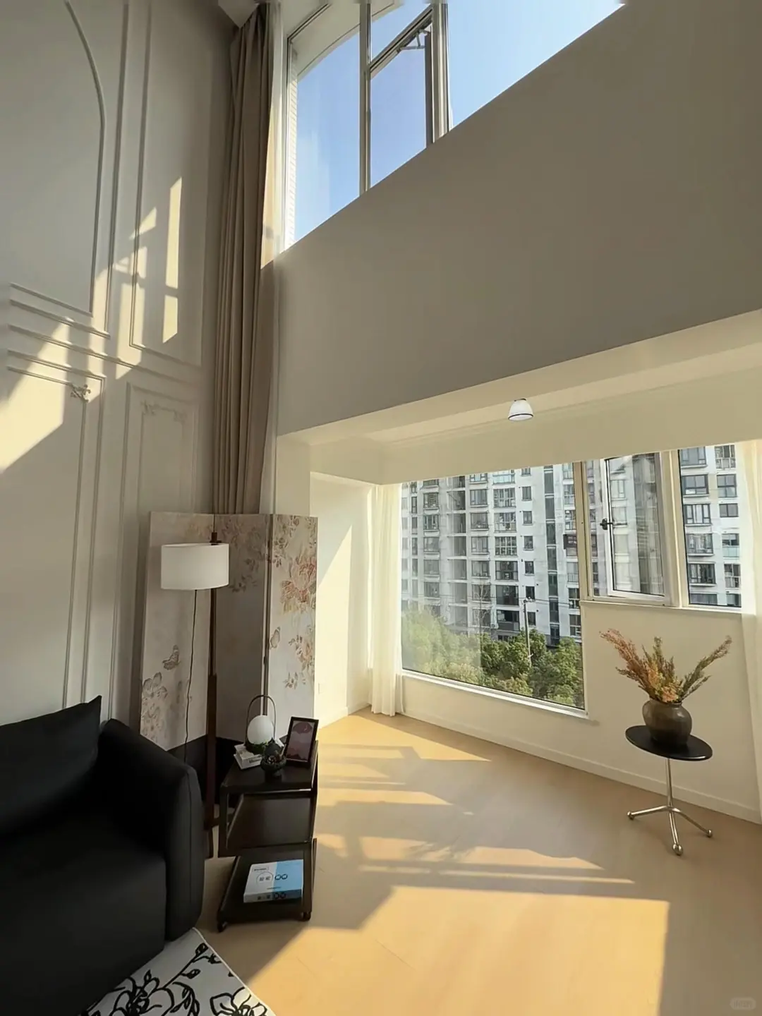 高新区6米loft公寓丨两室一厅46万 带衣帽间