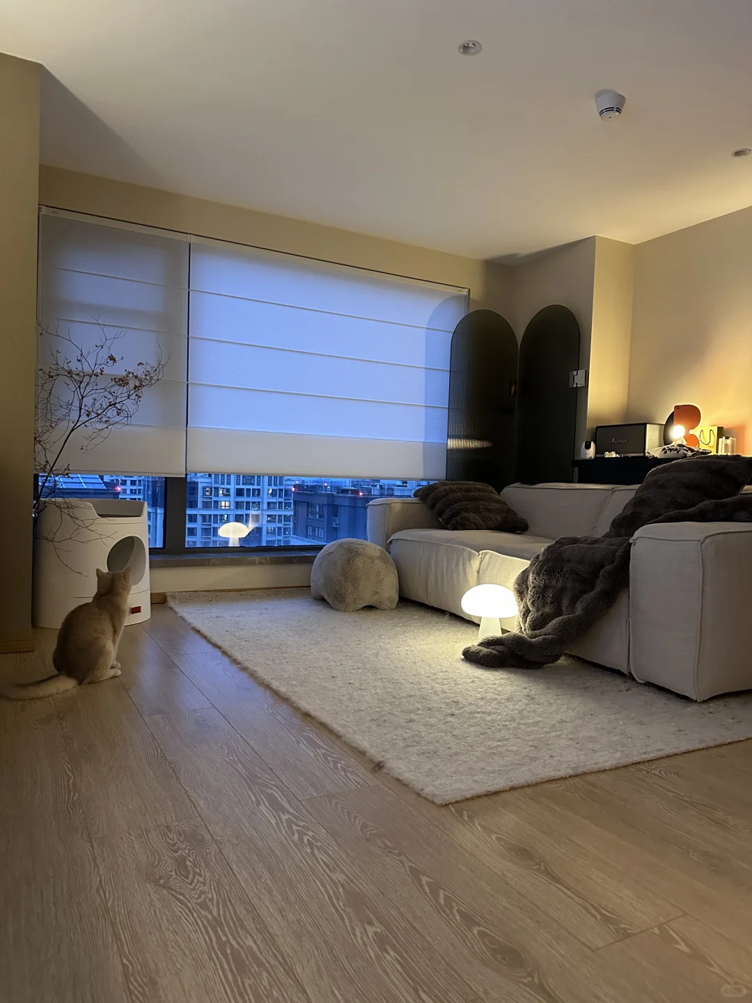 我装出了一个淡人无法拒绝的家🏠