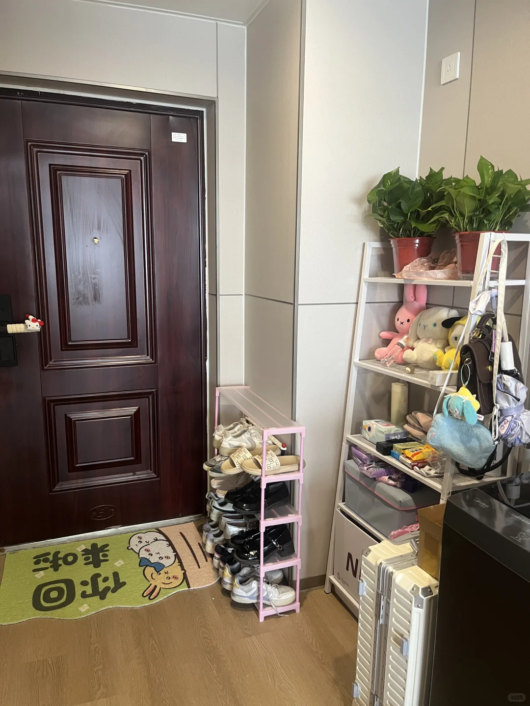 刚毕业 700元租的28平公寓