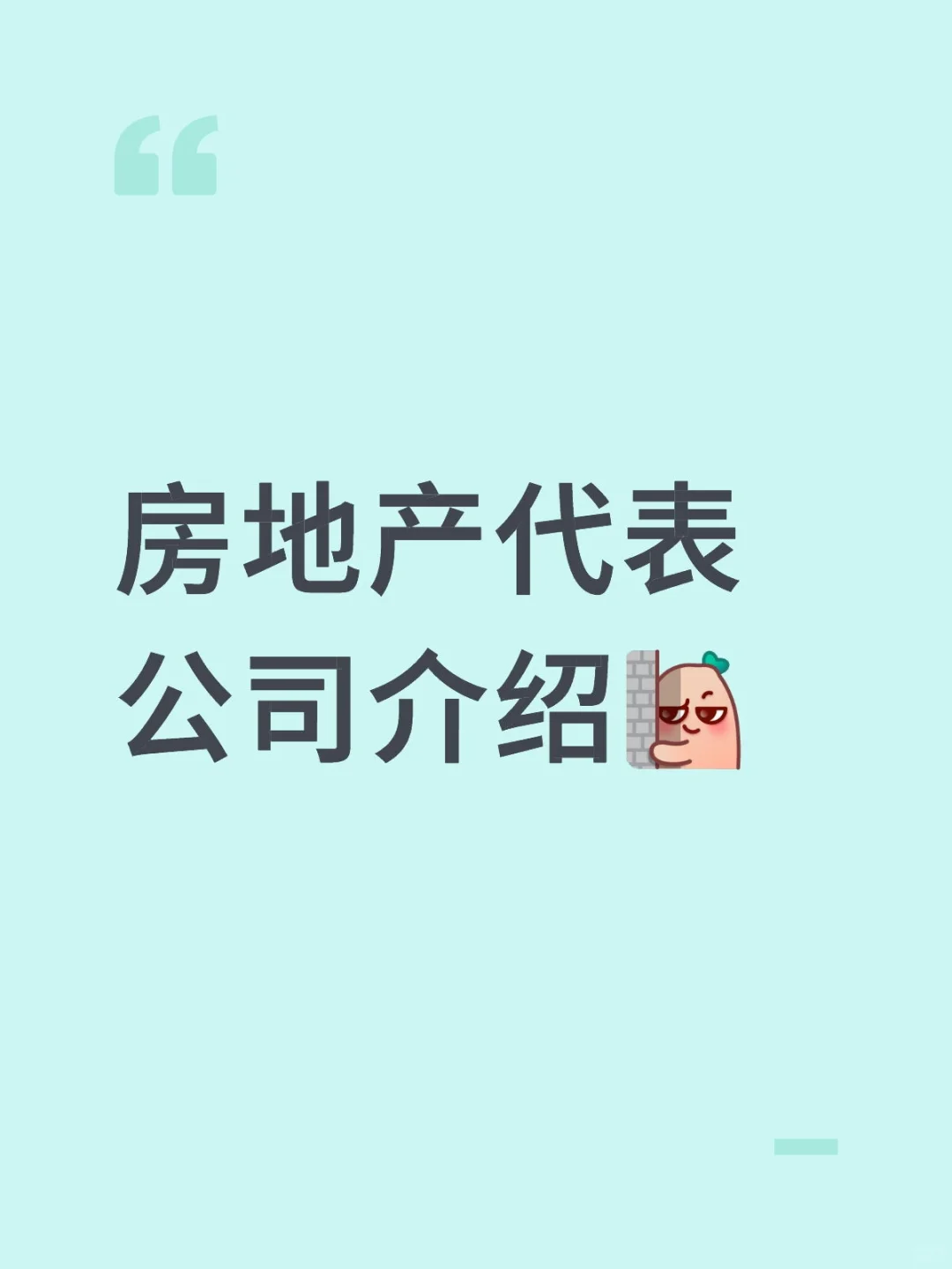 房地产代表公司介绍