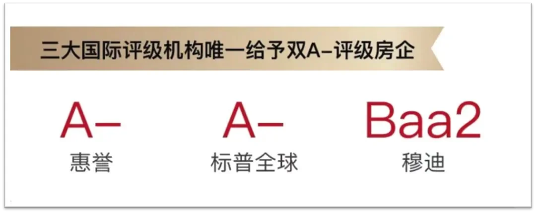 中海半年报太炸了