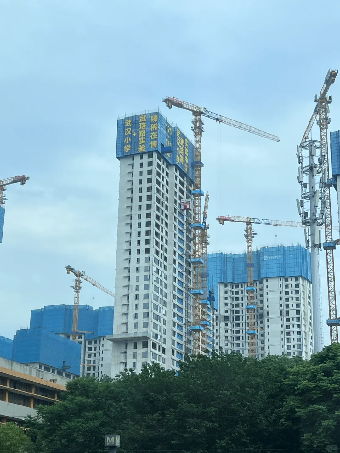 这么明目张胆的学区房售卖，我笑了