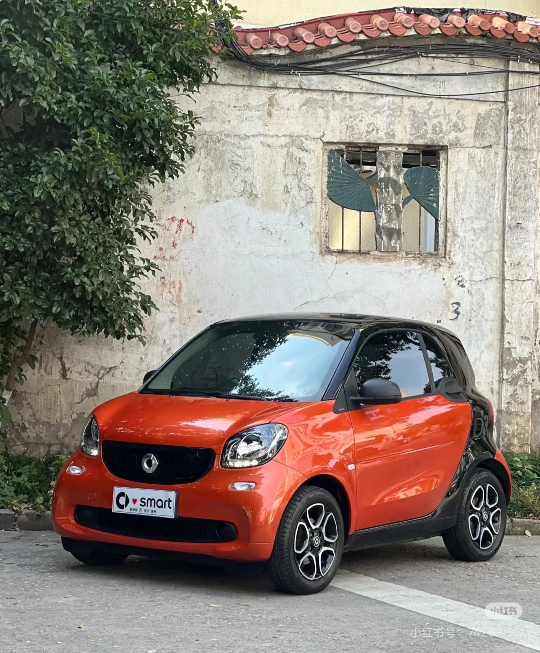 郑州求购一辆奔驰smart