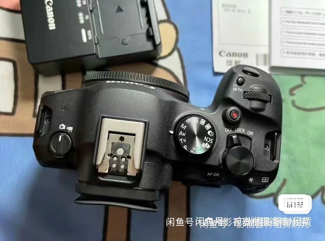 出租演唱会，拍动物相机镜头