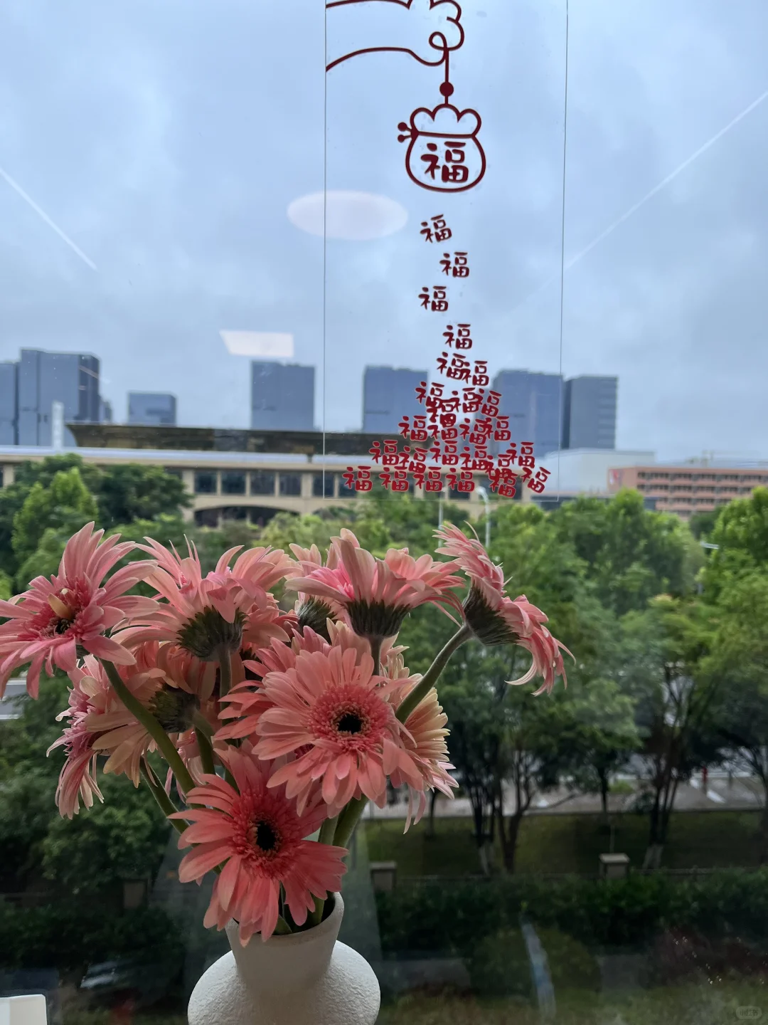 家人们可以暂停一下恭喜我搬新家吗😃