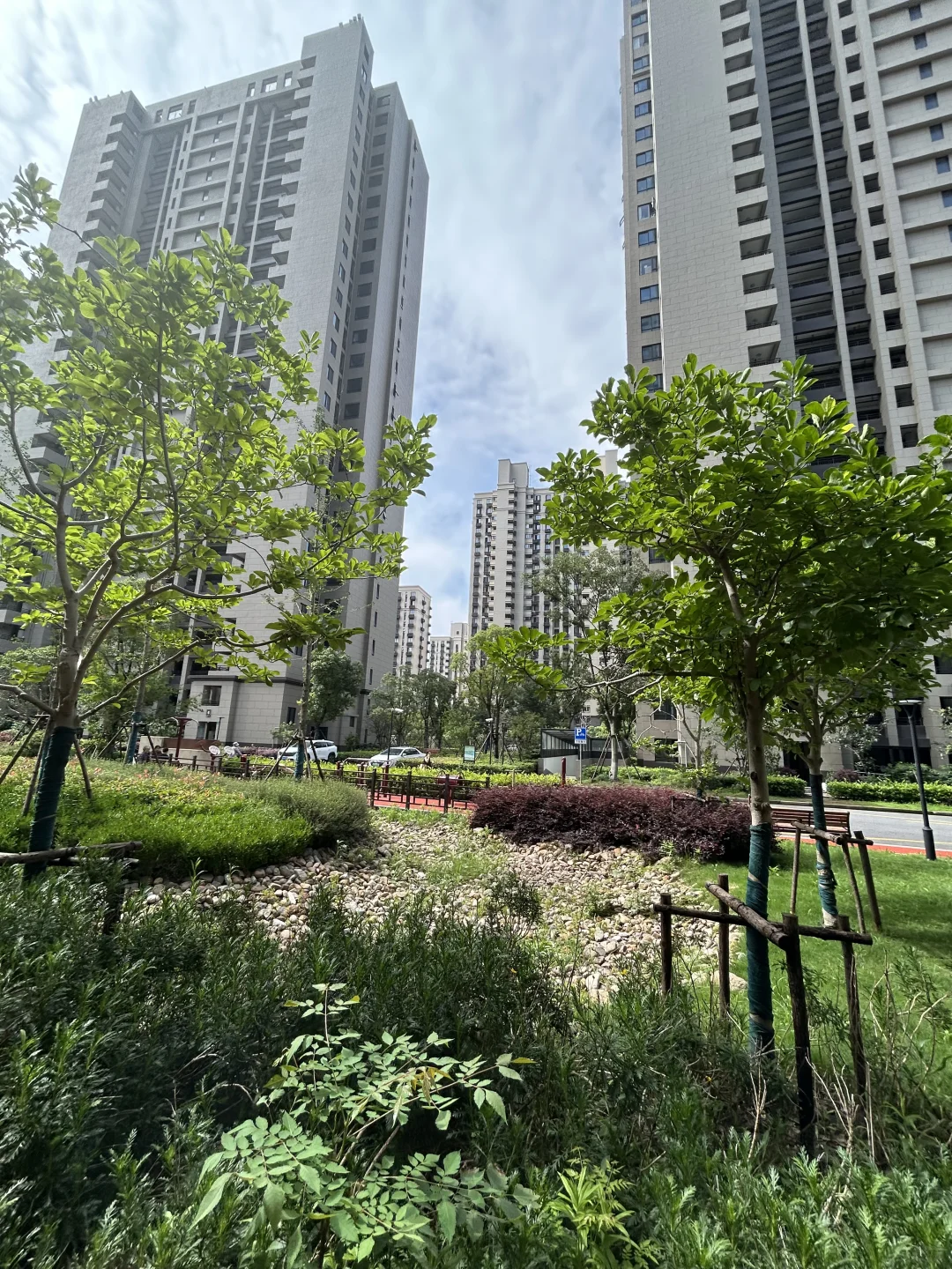 迪家苑/回迁房天花板/户型好品质高/价格低