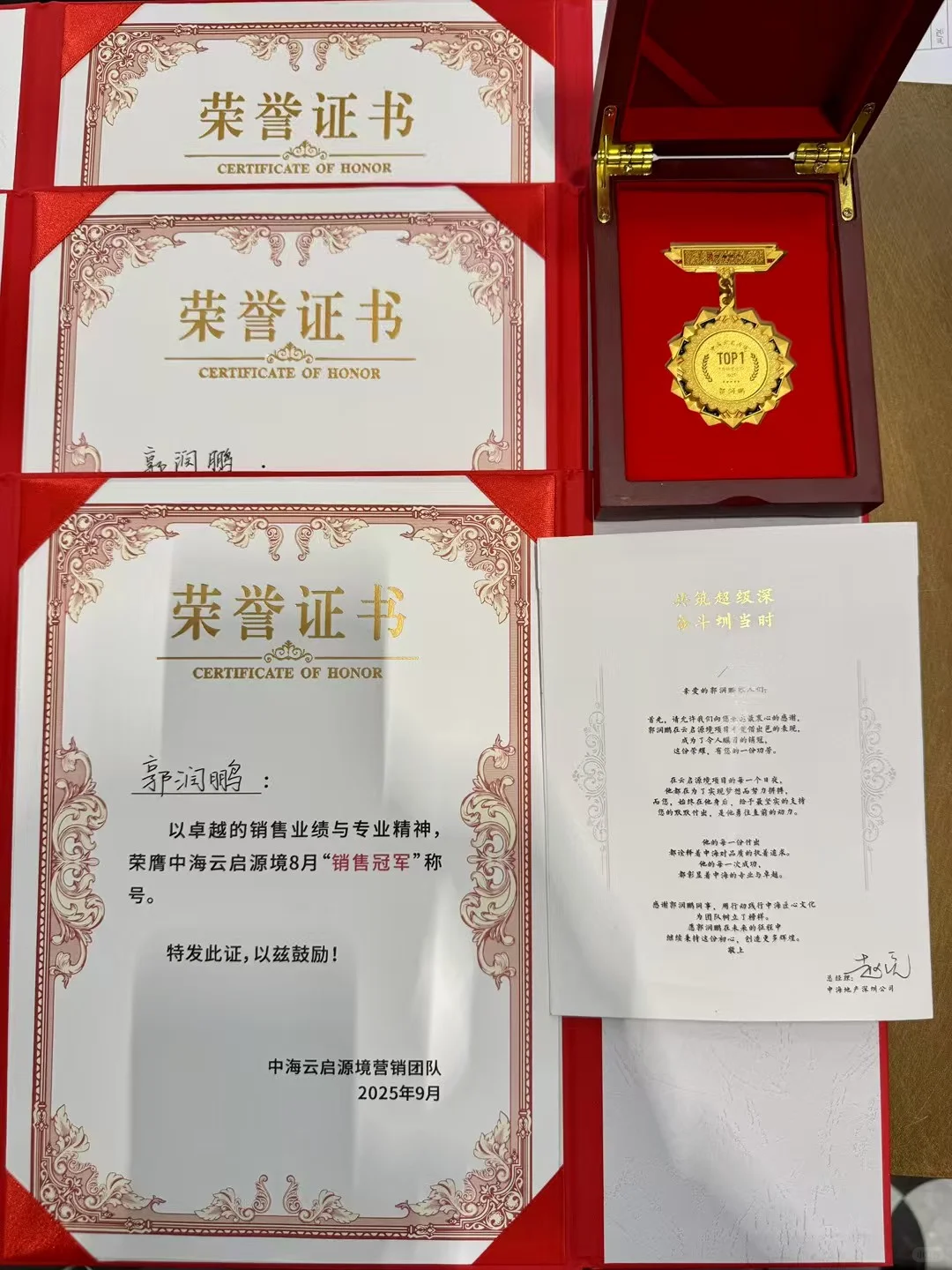 『深圳湾·澐玺』开发商置业顾问报道