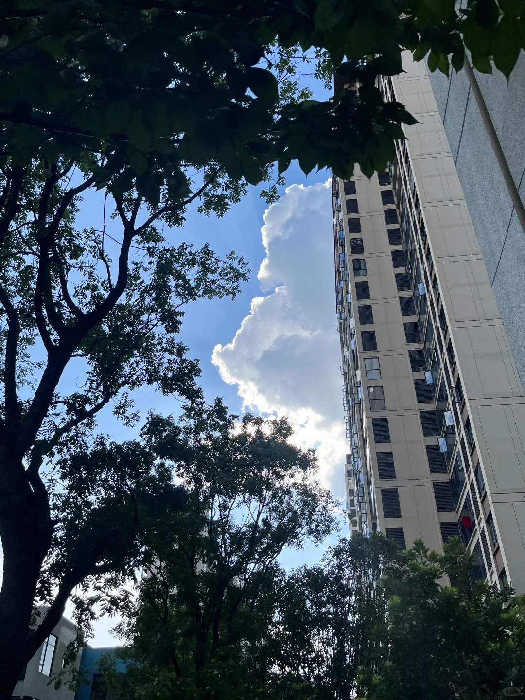 月供2800，每天笑哈哈🧚‍♀️