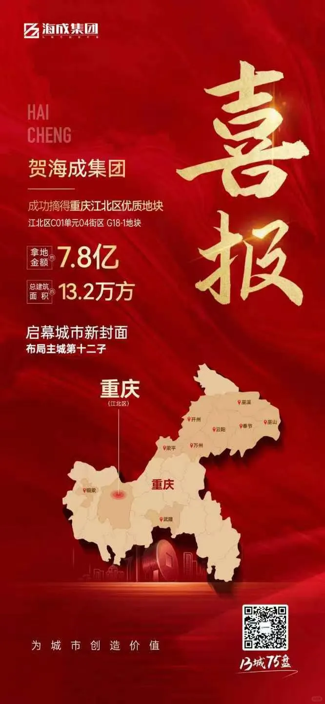 海成集团到底是个什么公司