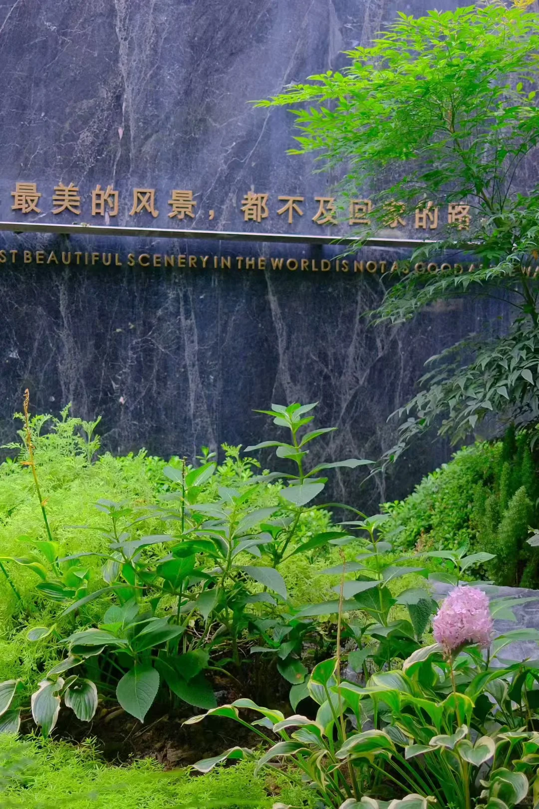 准现房到底香在哪？看完秒变懂房达人！🏠