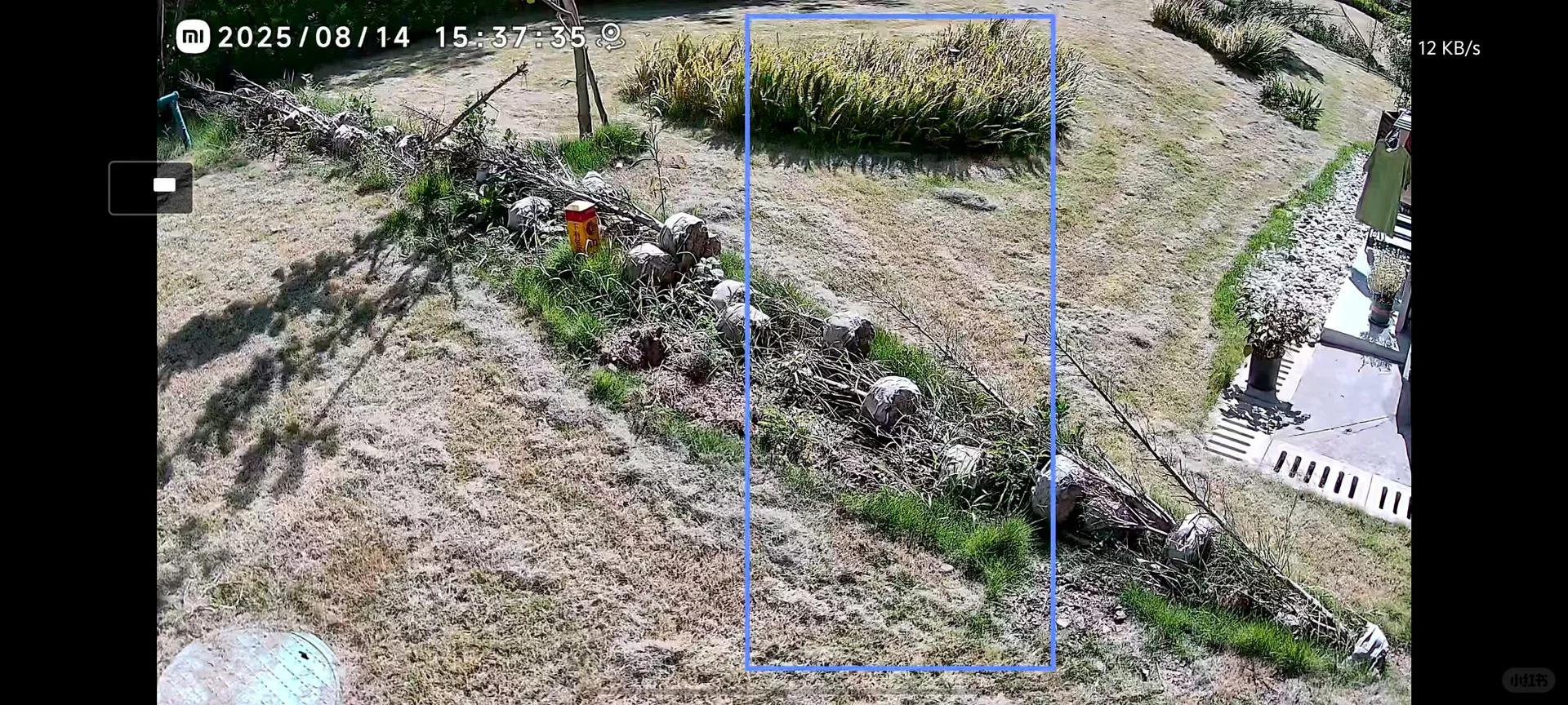重庆华润置地润府二期烂树一堆无人管