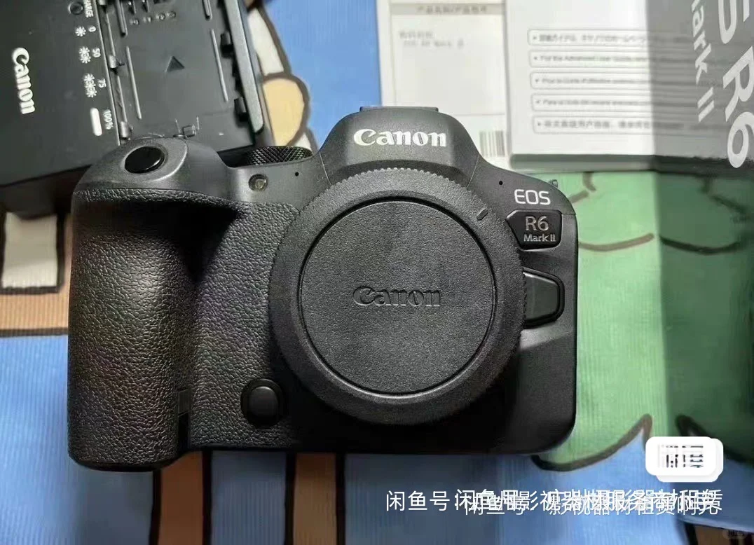 出租演唱会，拍动物相机镜头