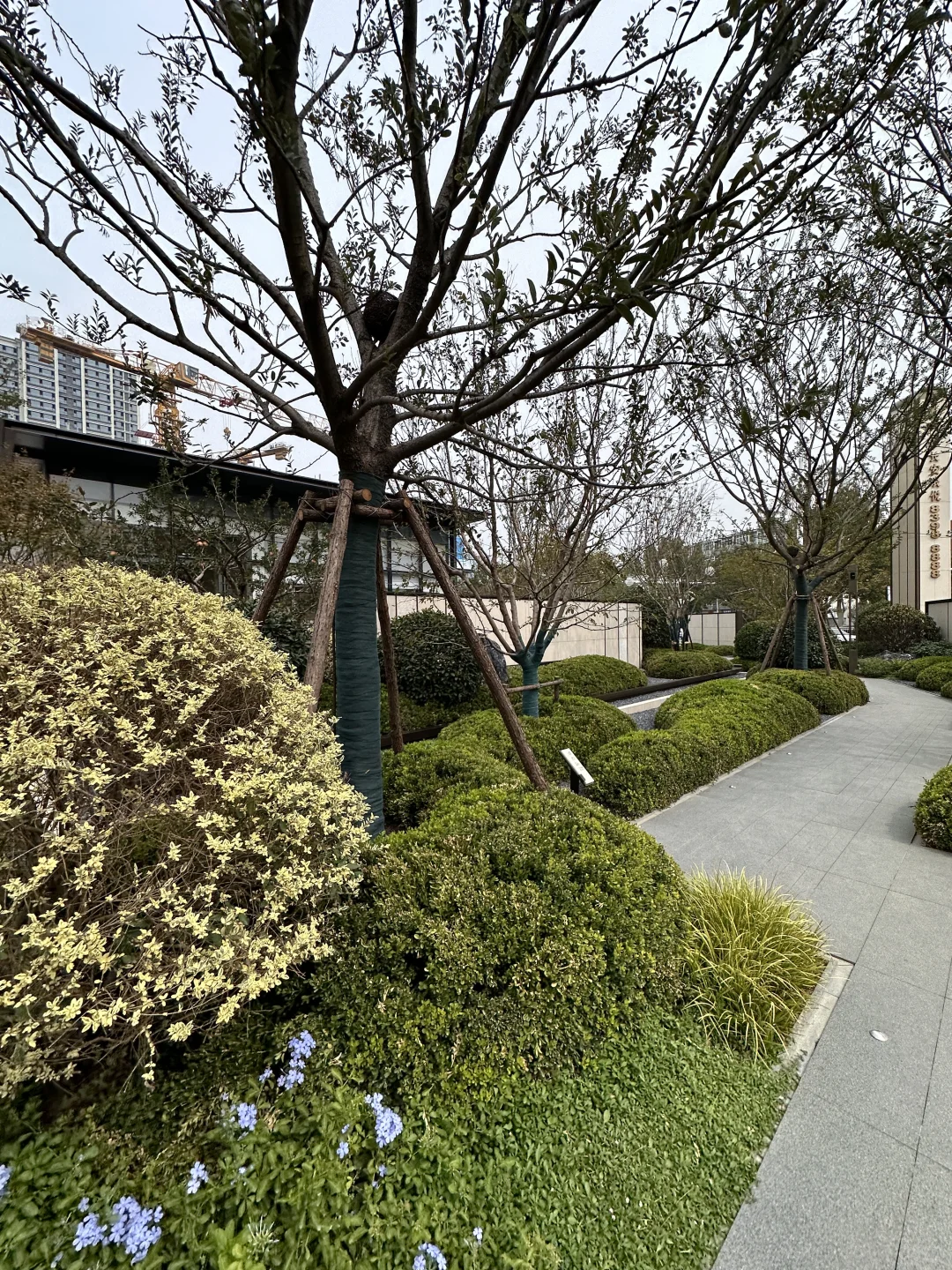 石家庄！不敢想象住在这里的人该有多幸福！！